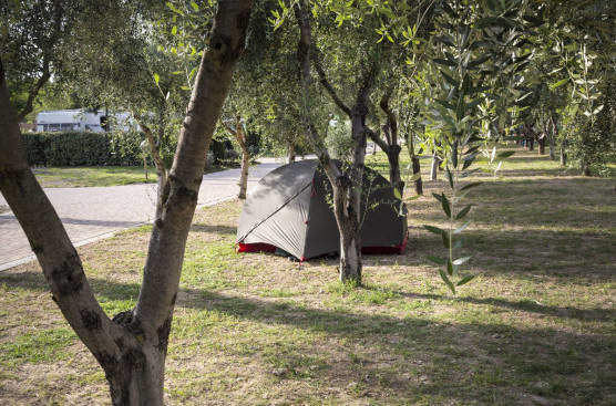 Firenze Camping In Town A Firenze Fi Giro Per Campeggi