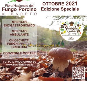 Fiera Nazionale del Fungo Porcino di Albareto (PR)