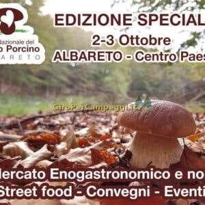 Fiera Nazionale del Fungo Porcino di Albareto (PR)