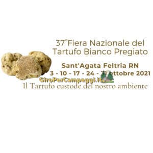 Fiera Nazionale del Tartufo Bianco Pregiato